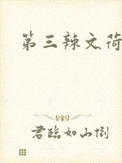 第三辣文荷包网