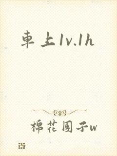 车上1v.1h