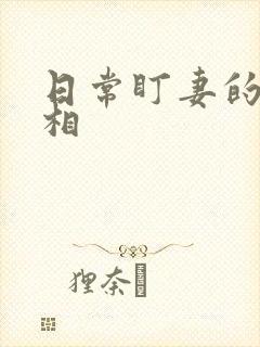 日常盯妻的小丞相