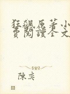 狂飙原著小说免费阅读全文