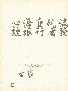 心海自我满足时被旅行者发现