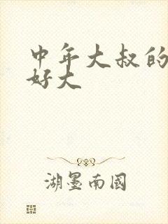 中年大叔的包包好大