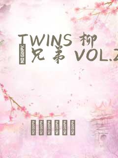 TWINS 柳澤兄弟 VOL.2