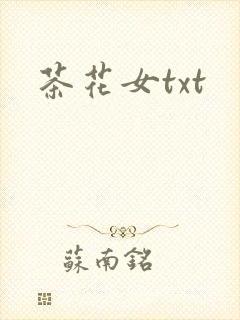 茶花女txt
