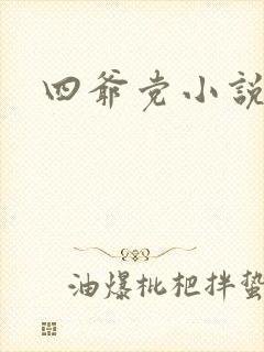 四爷党小说