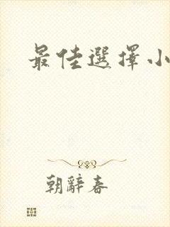 最佳选择小说