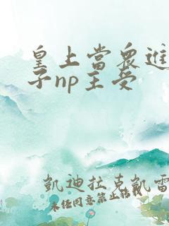 皇上当众进入太子np主受