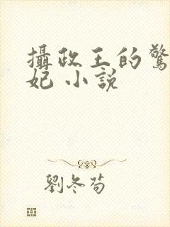 摄政王的惊世嫡妃 小说