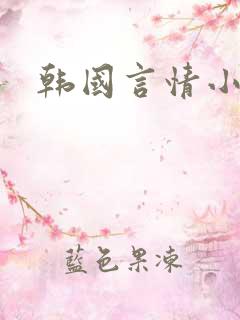 韩国言情小说