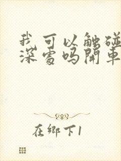 我可以触碰你的深处吗开车作文