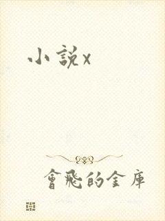 小说x