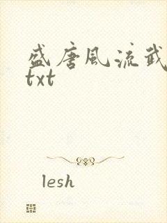 盛唐风流武状元txt