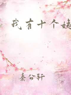 我有十个姨太太