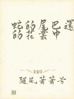 蛇的尾巴还在我的花丛中