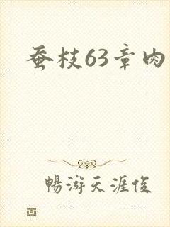 蚕枝63章肉