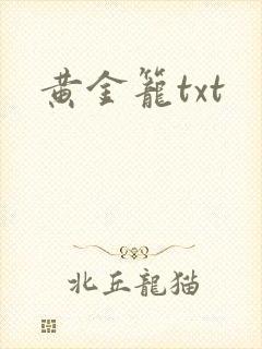 黄金笼txt