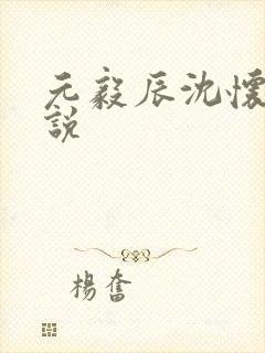 元毅辰沈怀妆小说