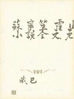 苏宁笙 霍止行小说全文免费阅读