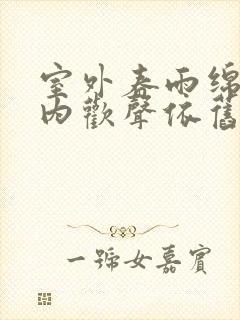 室外春雨绵绵室内欢声依旧