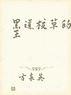 黑道校草的冷公主