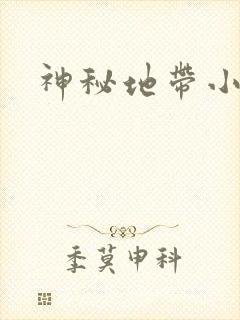 神秘地带小说