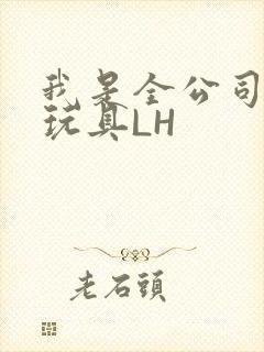 我是全公司发泄玩具LH