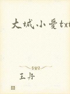 大城小爱txt