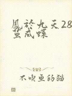 凤于九天28破茧成蝶