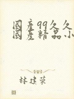 国产99久久久国产精品小说