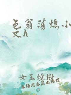 色翁荡熄小说全文h