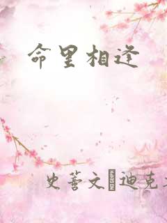 命里相逢