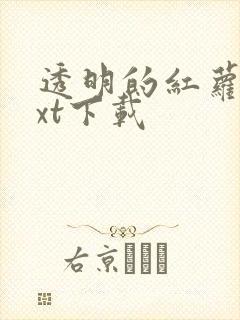 透明的红萝卜txt下载