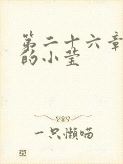 第二十六章满足的小莹