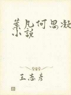 叶凡何思凝七月小说