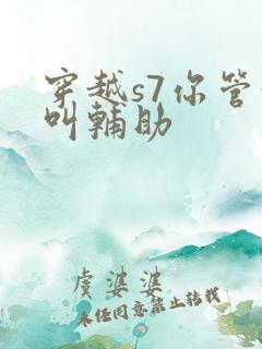 穿越s7你管这叫辅助