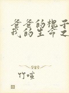 爸爸的棍子顶着我的生命之门