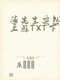 薄先生突然黏她上瘾TXT下载