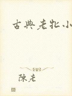 古典老牝小说