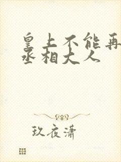 皇上不能再进了丞相大人