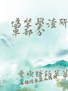 伪装学渣所有开车部分