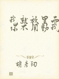 我就放里面不动你不用动我动