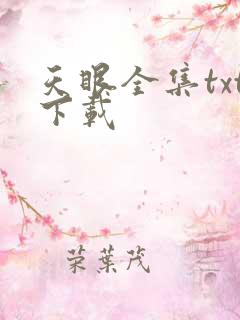 天眼全集txt下载