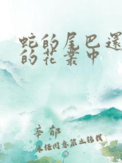 蛇的尾巴还在我的花丛中