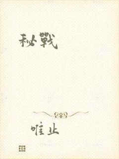 秘战