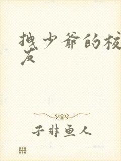 拽少爷的校花女友