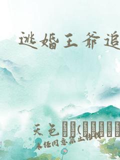 逃婚王爷追逃妃