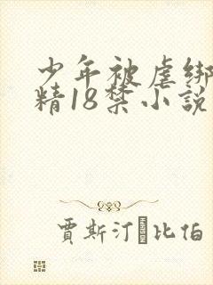 少年被虐绑着榨精18禁小说