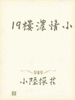 19楼浓情小说