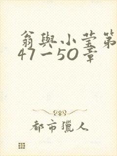 翁与小莹第十部47一5O章