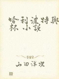 哈利波特与火焰杯 小说